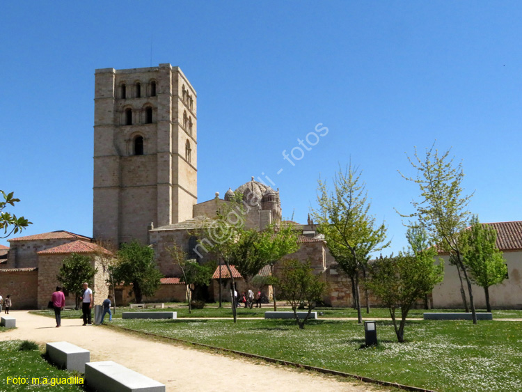 ZAMORA (386) Catedral