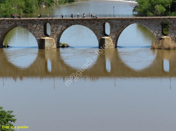 ZAMORA (442) Puente de Piedra Desde Troncoso