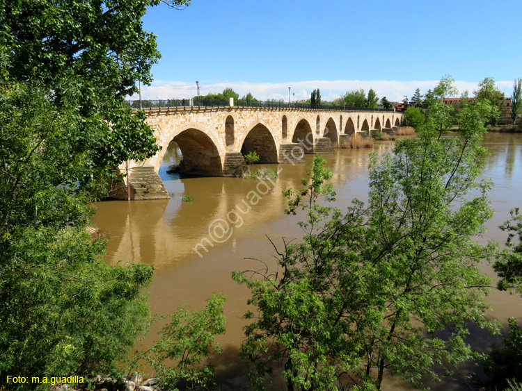 ZAMORA (443) Puente de Piedra