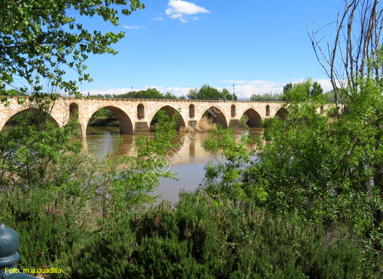 ZAMORA (445) Puente de Piedra