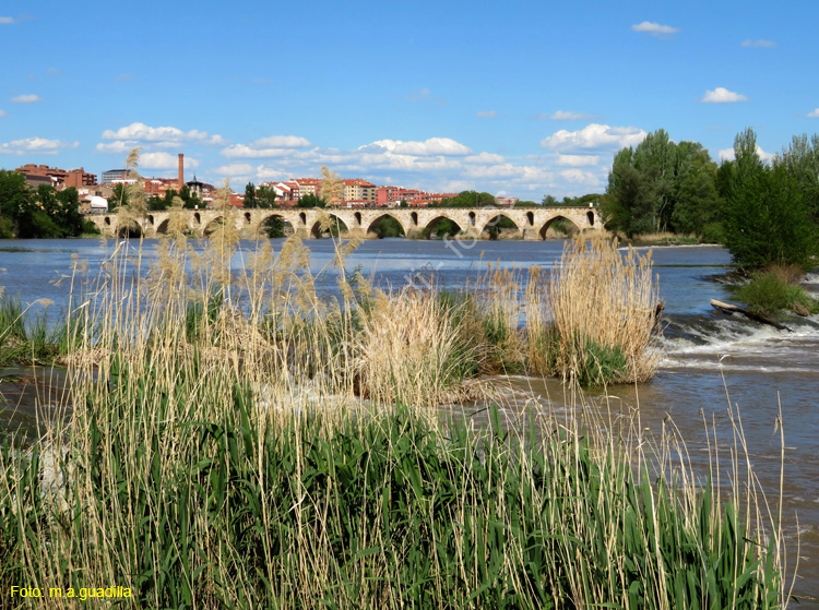 ZAMORA (447) Puente de Piedra Desde Las Aceñas