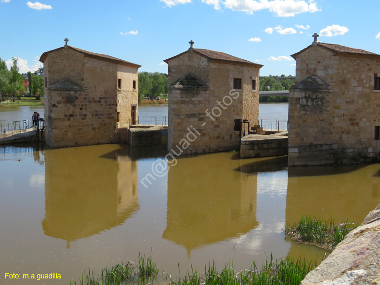 ZAMORA (450) Aceñas de OLivares