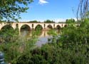 ZAMORA (445) Puente de Piedra