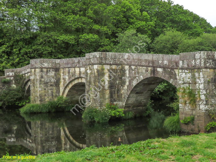Zas - Puente Romano de Brandomil (101)