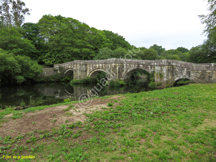 Zas - Puente Romano de Brandomil (102)