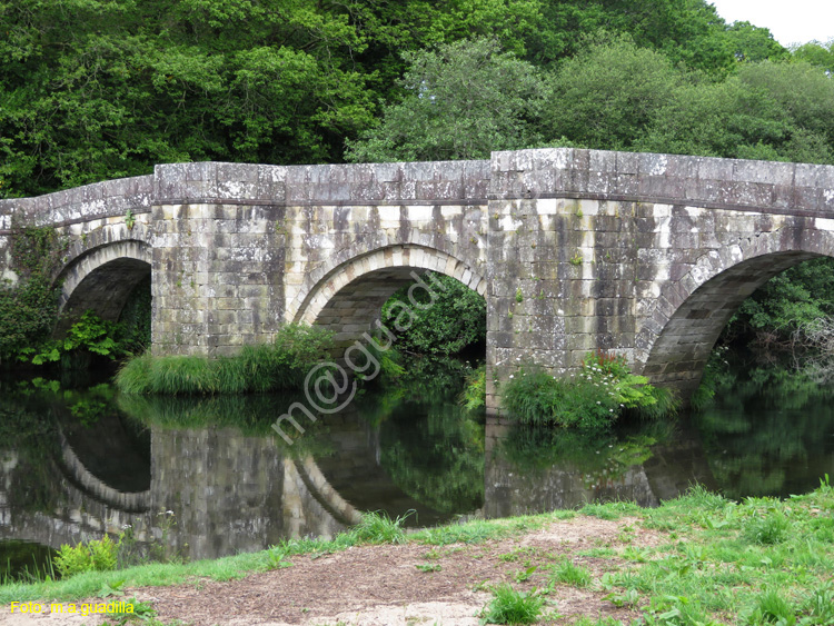 Zas - Puente Romano de Brandomil (103)