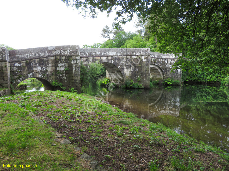 Zas - Puente Romano de Brandomil (105)