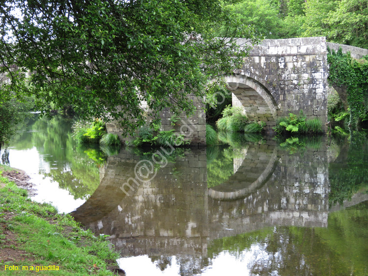 Zas - Puente Romano de Brandomil (106)