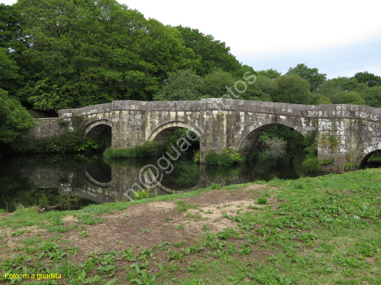 Zas - Puente Romano de Brandomil (110)