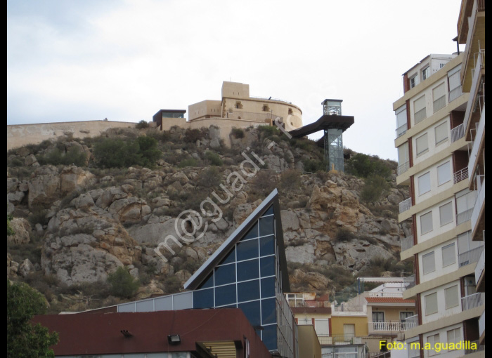 AGUILAS (118)