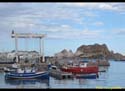 AGUILAS (121)