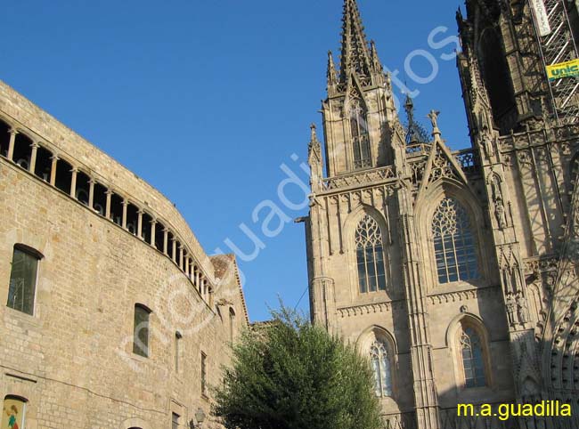 BARCELONA 268 Catedral