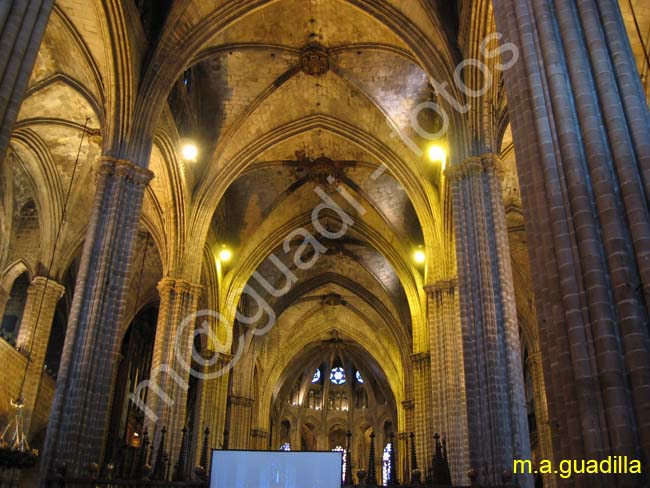 BARCELONA 271 Catedral