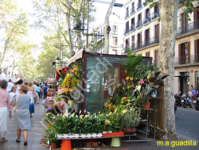 BARCELONA 216 La Rambla