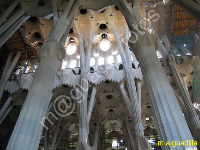 BARCELONA 055 Sagrada Familia