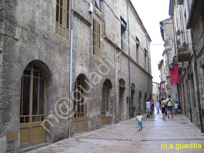 BESALU 010