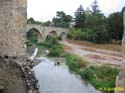 BESALU 044