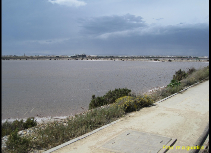 LA MANGA DEL MAR MENOR (127)