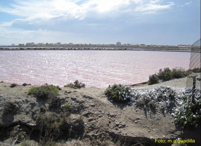 LA MANGA DEL MAR MENOR (128)