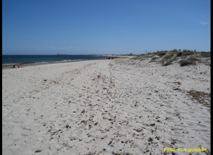 LA MANGA DEL MAR MENOR (153)