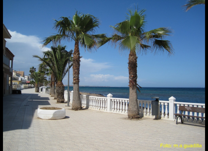 LA MANGA DEL MAR MENOR (156)