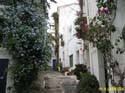 CADAQUES 062