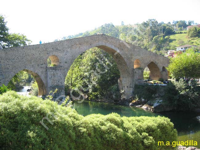 CANGAS DE ONIS 003