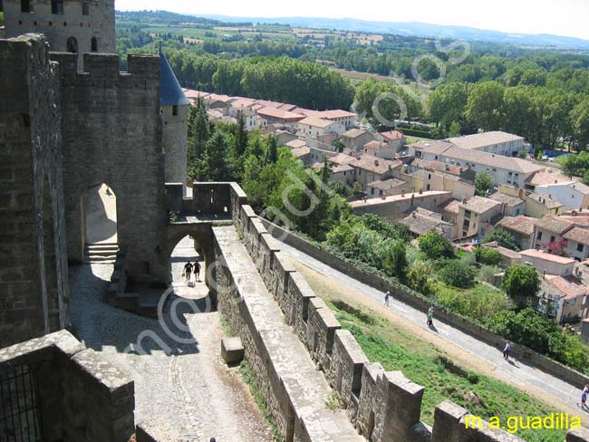 CARCASSONNE 109