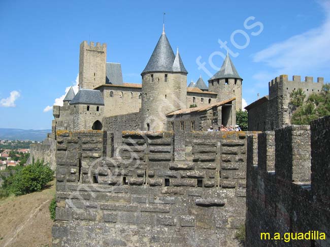 CARCASSONNE 113