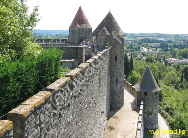 CARCASSONNE 118