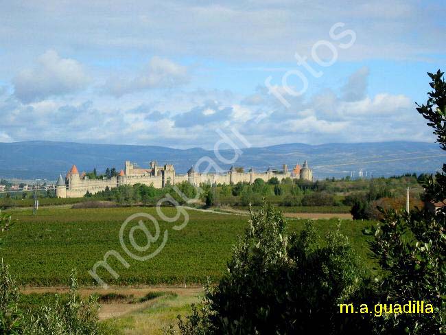 CARCASSONNE 146