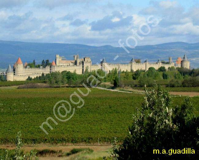 CARCASSONNE 147