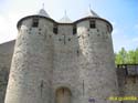 CARCASSONNE 106