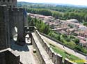 CARCASSONNE 109