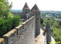 CARCASSONNE 118