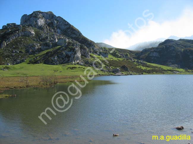 COVADONGA 059 Lago Encina