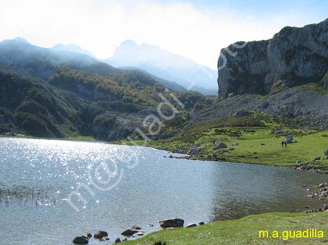 COVADONGA 060 Lago Encina