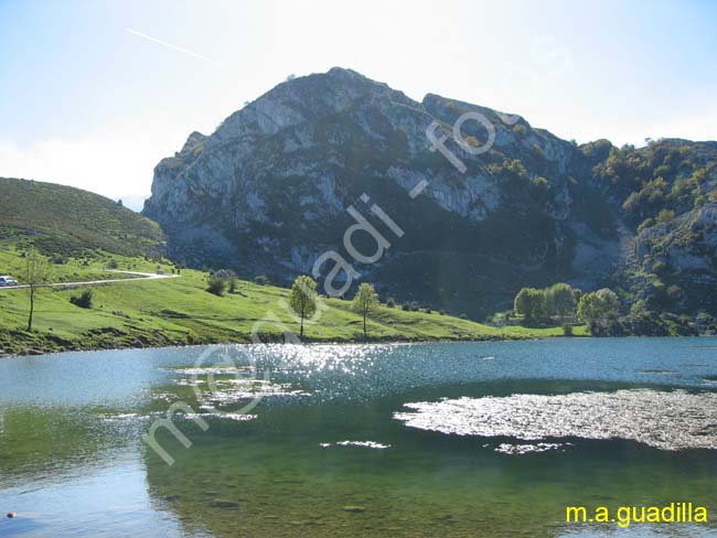 COVADONGA 062 Lago Enol