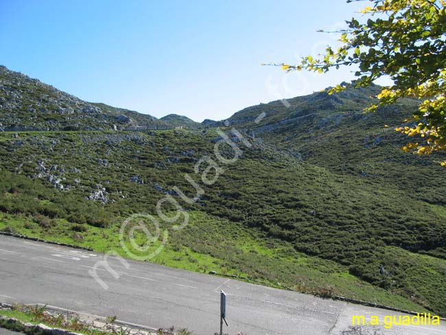 COVADONGA 065