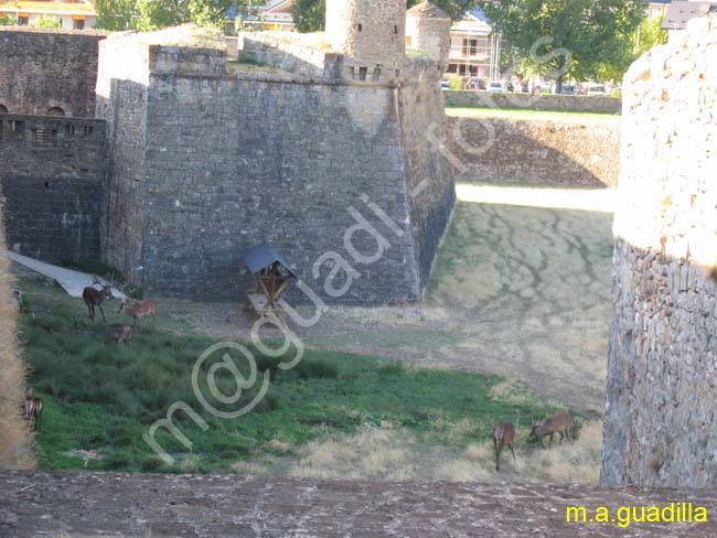JACA 058 Ciudadela