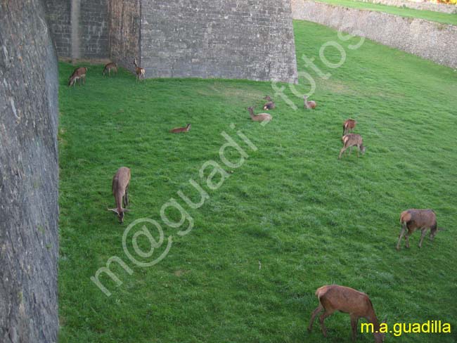 JACA 075 Ciudadela