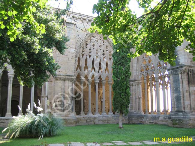 LLEIDA 054   La Seu Vella