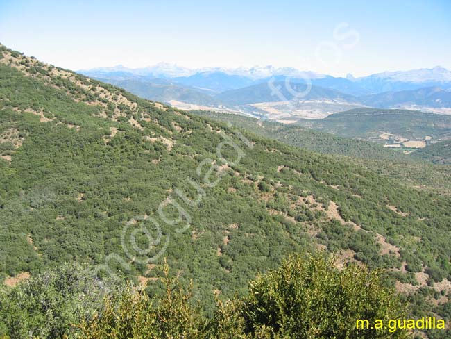 Carretera del Monasterio de San Juan de la Peña 002