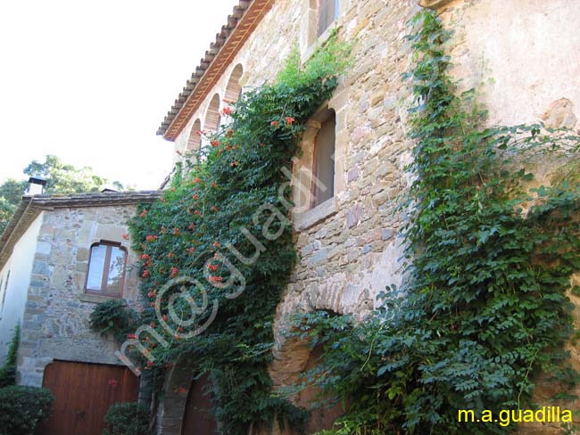 MONELLS 019