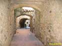 MONELLS 017