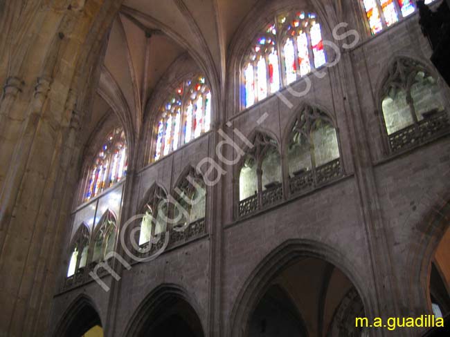 OVIEDO 101 Catedral