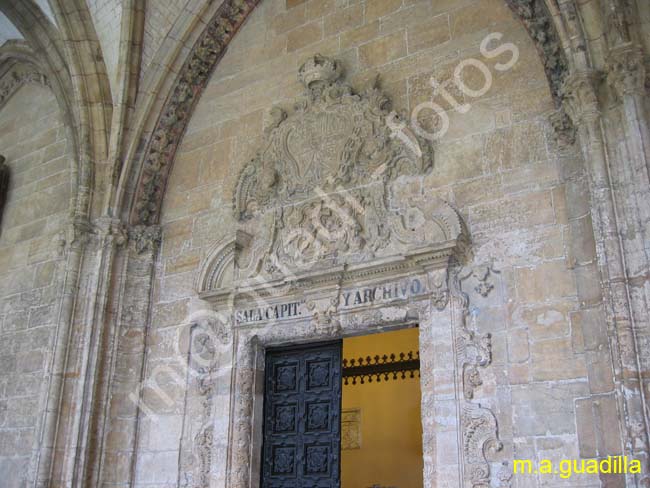 OVIEDO 124 Catedral