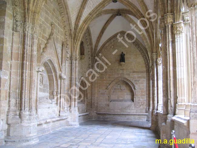 OVIEDO 126 Catedral