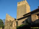 PERATALLADA 019