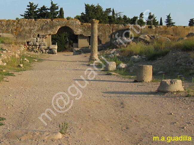 RUINAS DE EMPURIES 032